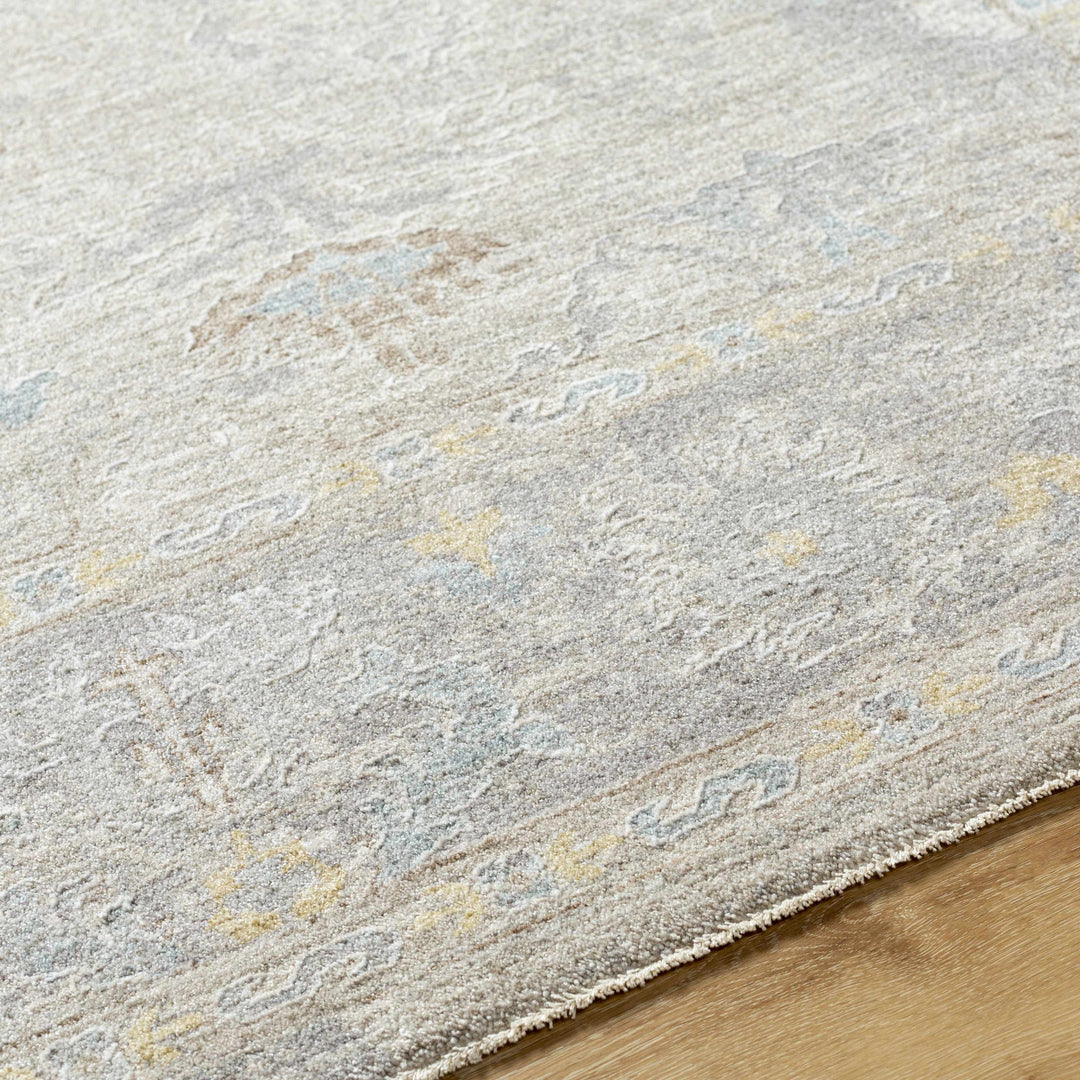 Istas Traditional Style Beige And Gray Area Rug