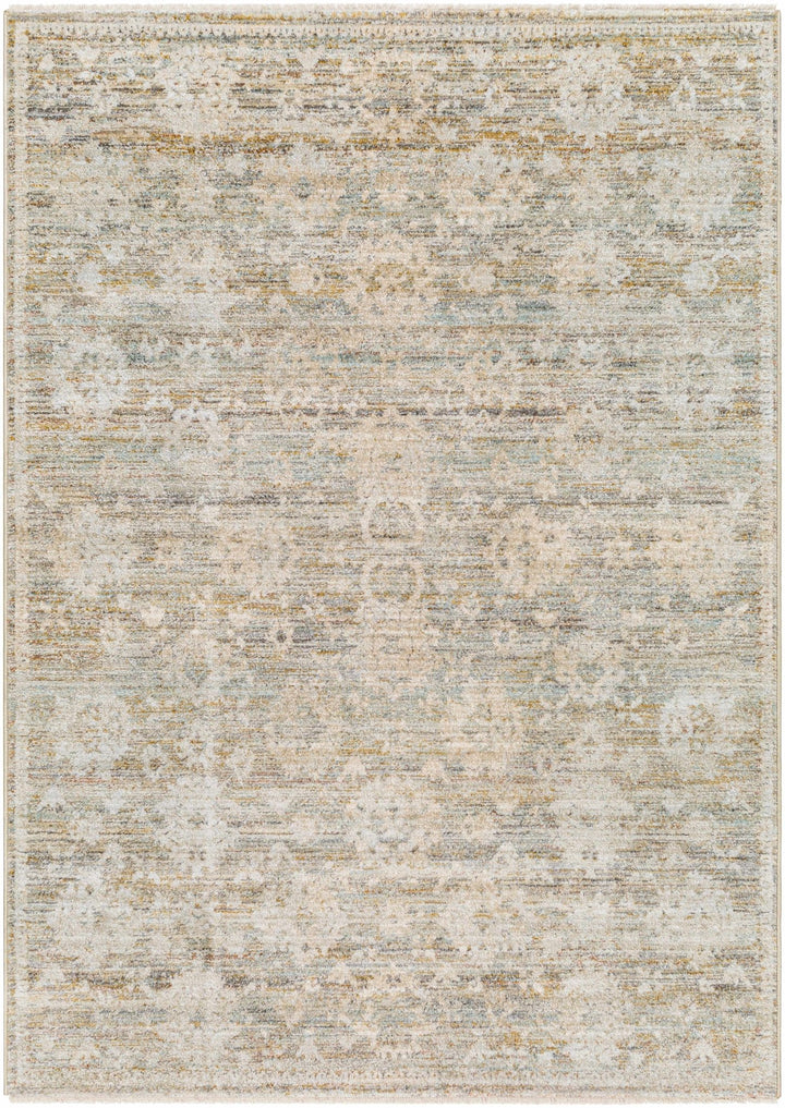 Itzel Traditional Beige And Gray Area Rug - The Rug Decor