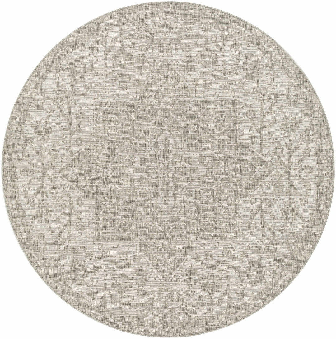Ivory and Beige Traditional Medallion Design indoor and outdoor Area Rug - The Rug Decor