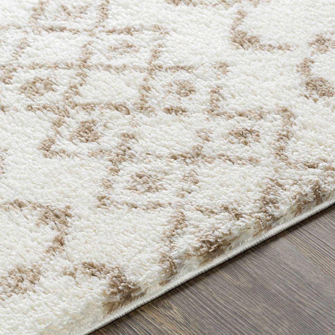 Ivory and Camel Traditional Tribal Design area rug - The Rug Decor