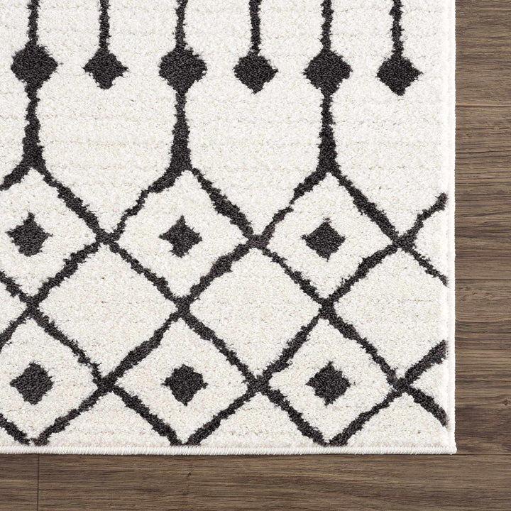 Ivory and Charcoal Traditional Tribal Design Multi size area rug - The Rug Decor