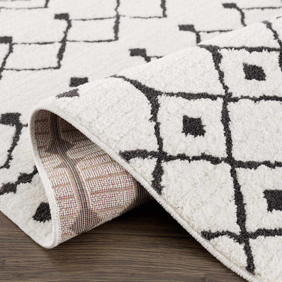 Ivory and Charcoal Traditional Tribal Design Multi size area rug - The Rug Decor