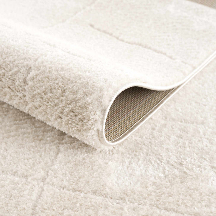 Ivory Contemporary Style Area Rug - The Rug Decor