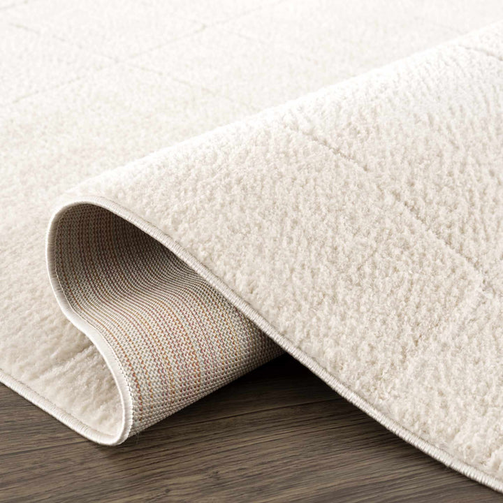 Ivory Contemporary Style Area Rug - The Rug Decor