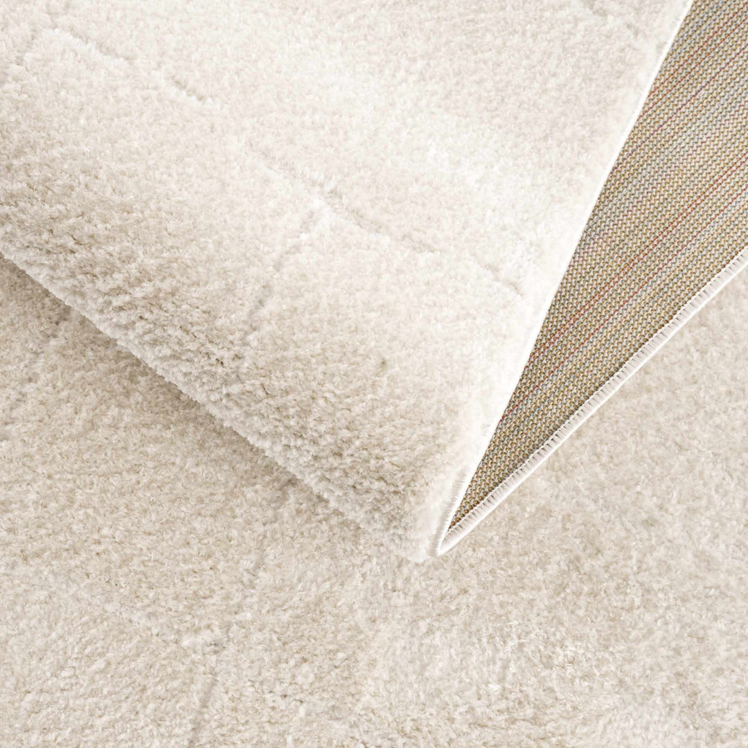 Ivory Contemporary Style Area Rug - The Rug Decor