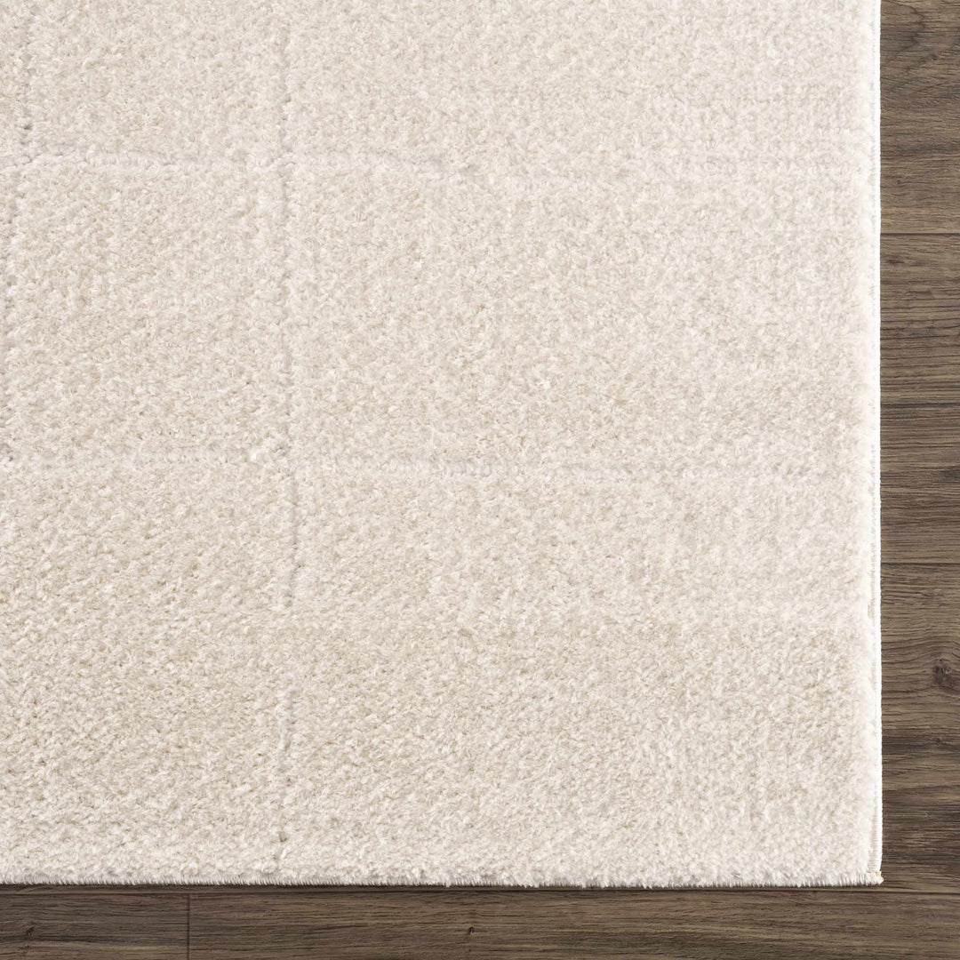 Ivory Contemporary Style Area Rug - The Rug Decor