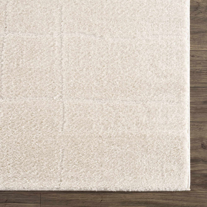 Ivory Contemporary Style Area Rug - The Rug Decor
