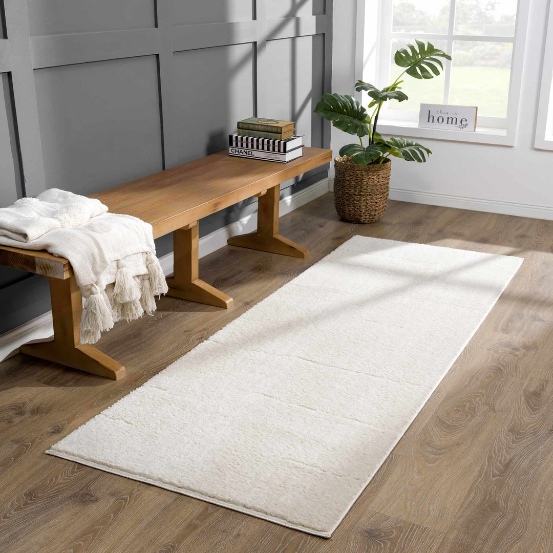 Ivory Contemporary Style Area Rug - The Rug Decor