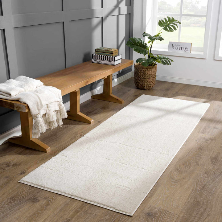 Ivory Contemporary Style Area Rug - The Rug Decor