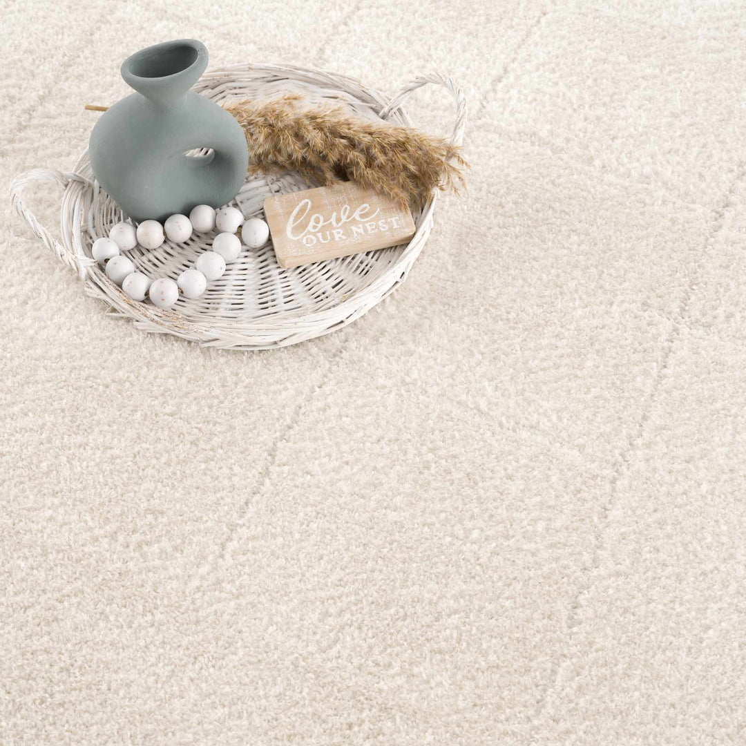 Ivory Contemporary Style Area Rug - The Rug Decor