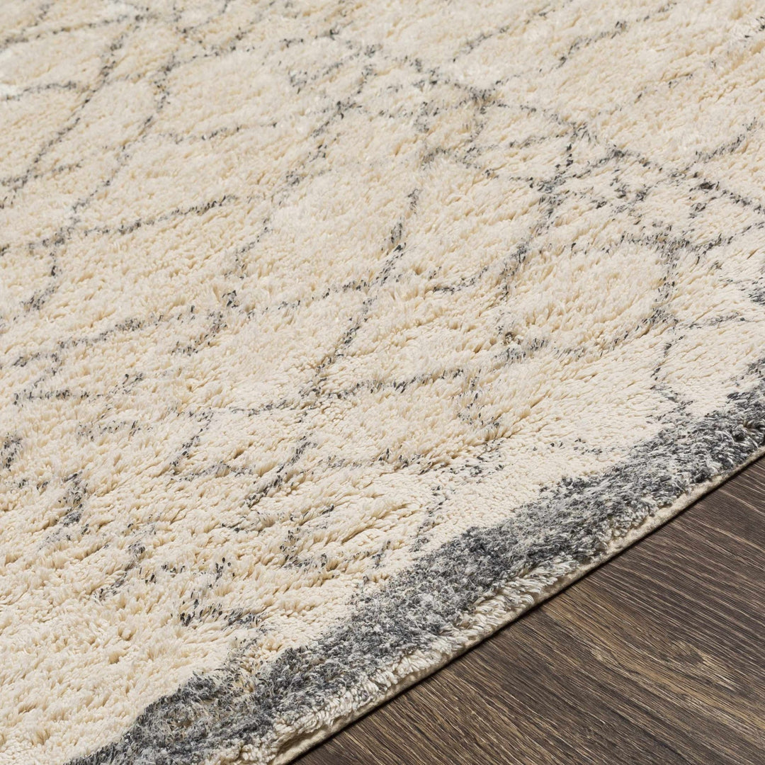 Jacana Ivory Modern Geometrical Design Hand Woven Area Rug - The Rug Decor