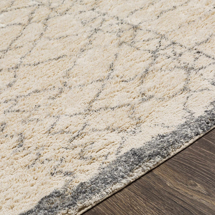 Jacana Ivory Modern Geometrical Design Hand Woven Area Rug - The Rug Decor