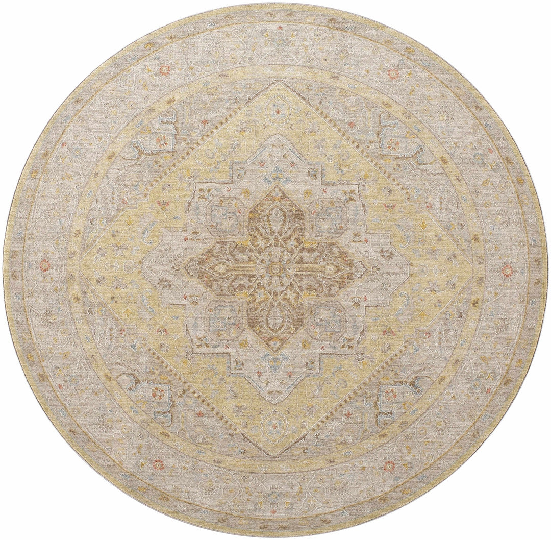 Jago Traditional Beige And Olive Rug - The Rug Decor