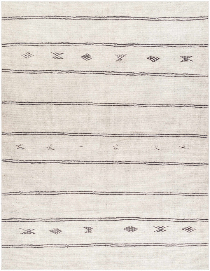 Jana Modern Stripe Pattern Beige Area Rug - The Rug Decor