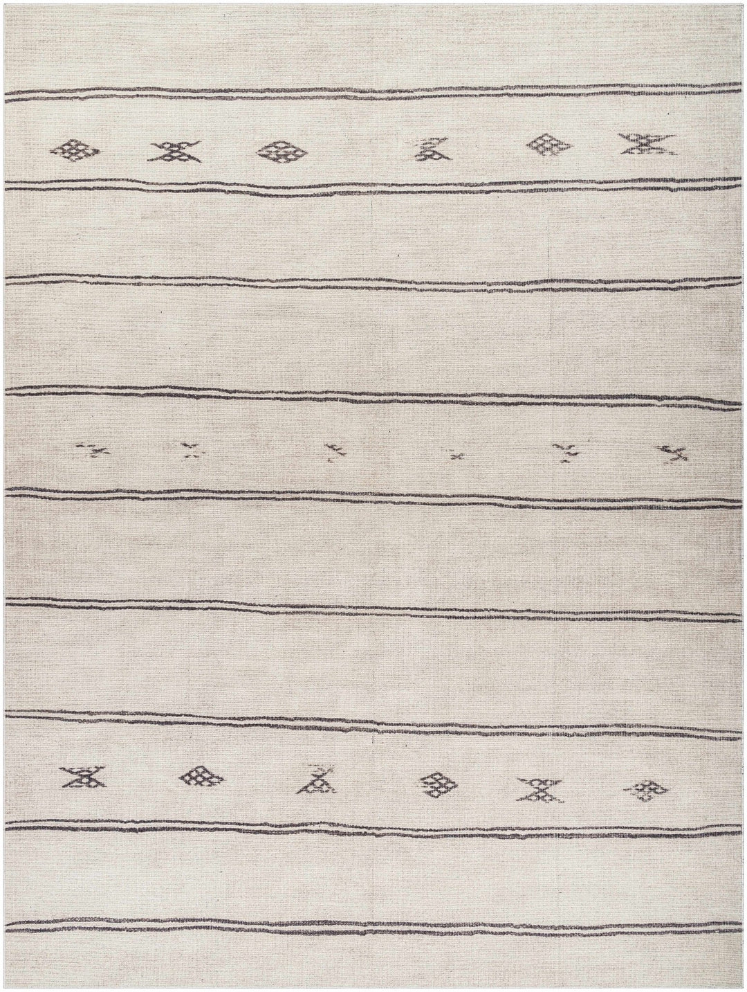 Jana Modern Stripe Pattern Beige Area Rug - The Rug Decor