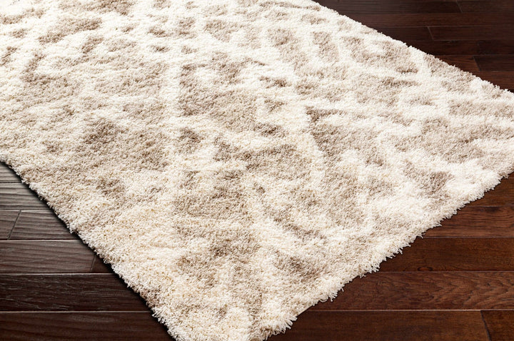 Jase Contemporary Style Beige And Ivory Area Rug - The Rug Decor