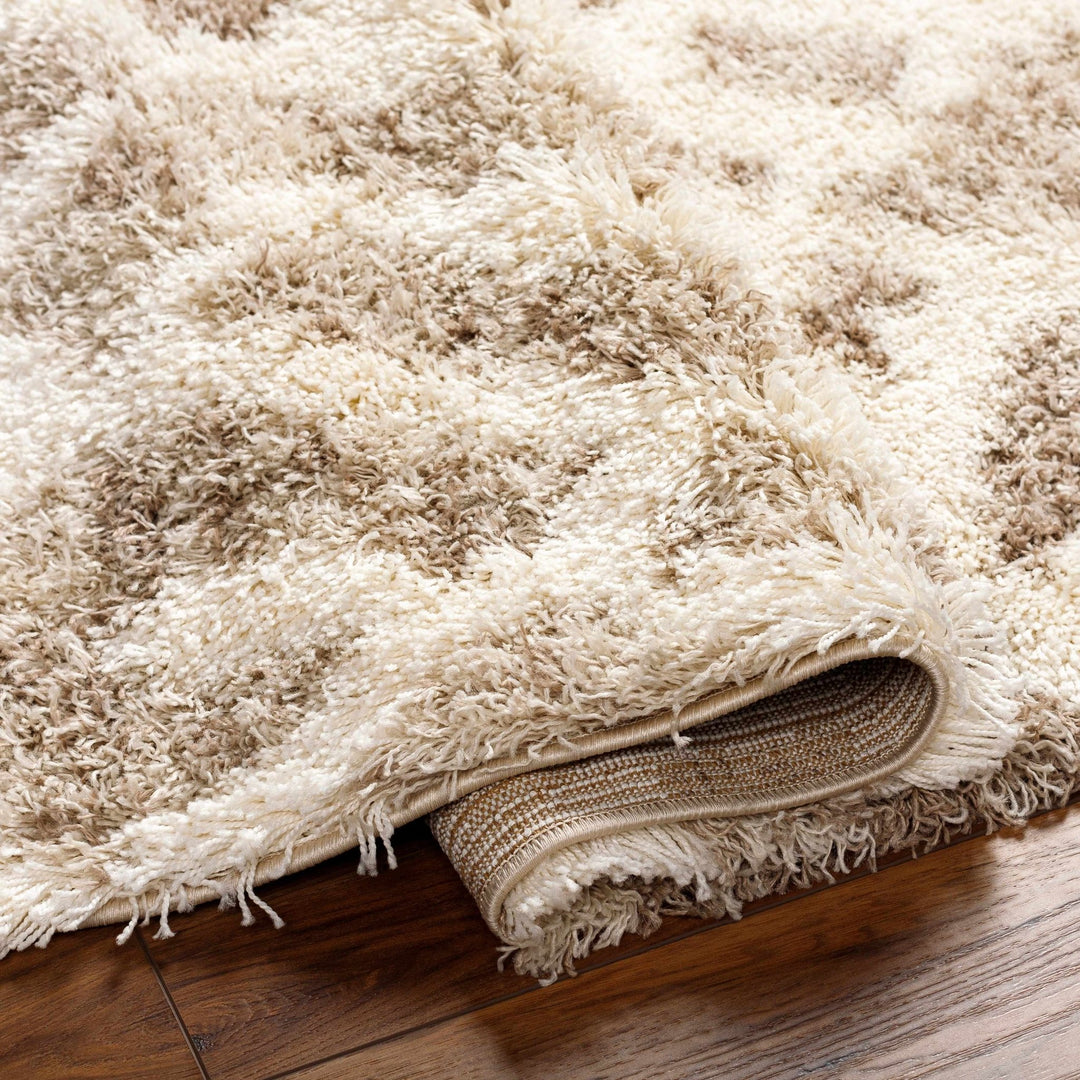 Jase Contemporary Style Beige And Ivory Area Rug - The Rug Decor