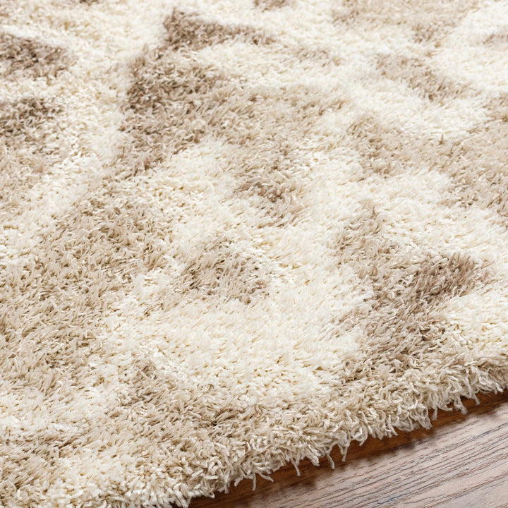 Jase Contemporary Style Beige And Ivory Area Rug - The Rug Decor