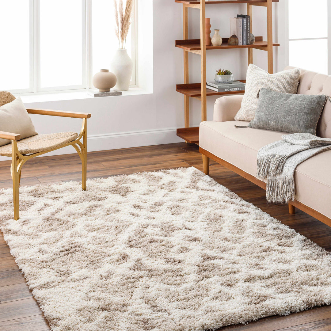 Jase Contemporary Style Beige And Ivory Area Rug