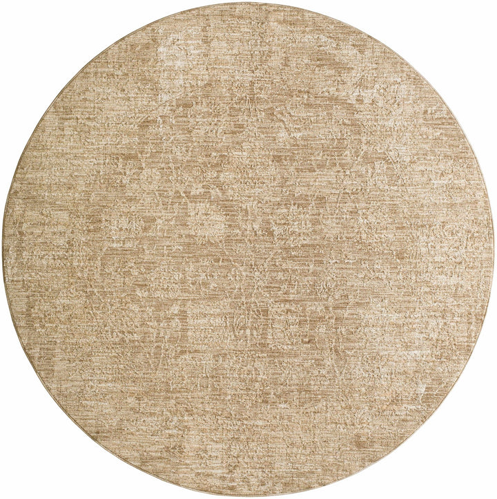 Jenis Beige Traditional Style Machine Woven Rug - The Rug Decor