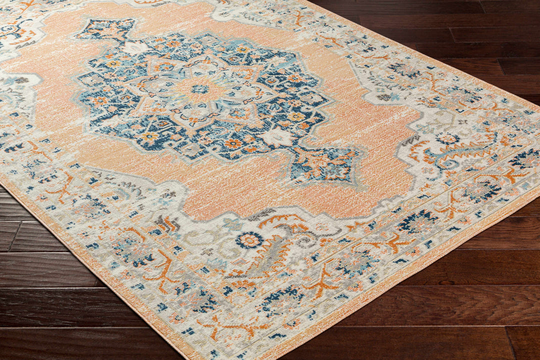 Joji Peach And Blue Traditional Style Area Rug