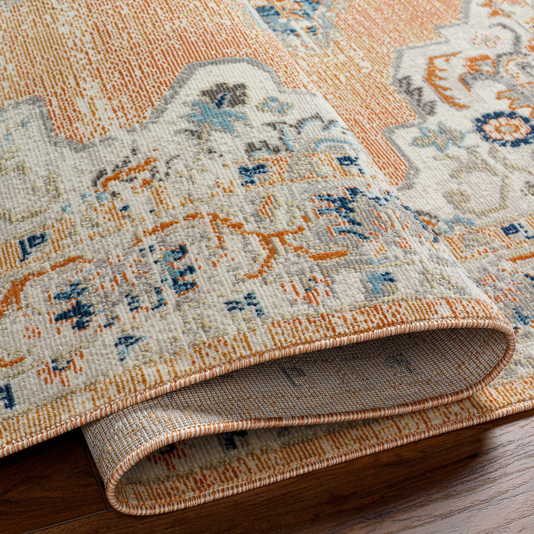 Joji Peach And Blue Traditional Style Area Rug
