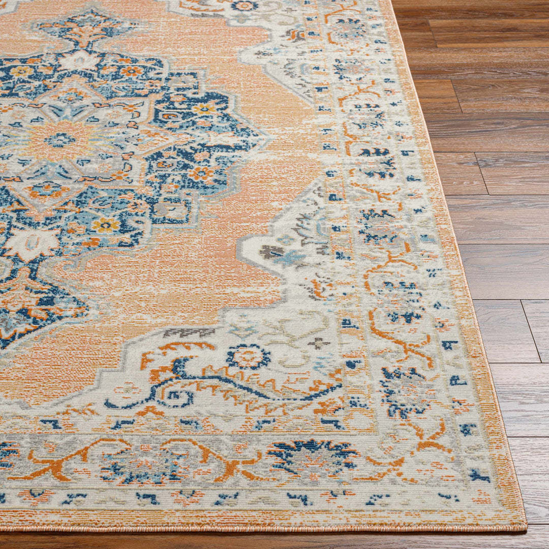 Joji Peach And Blue Traditional Style Area Rug
