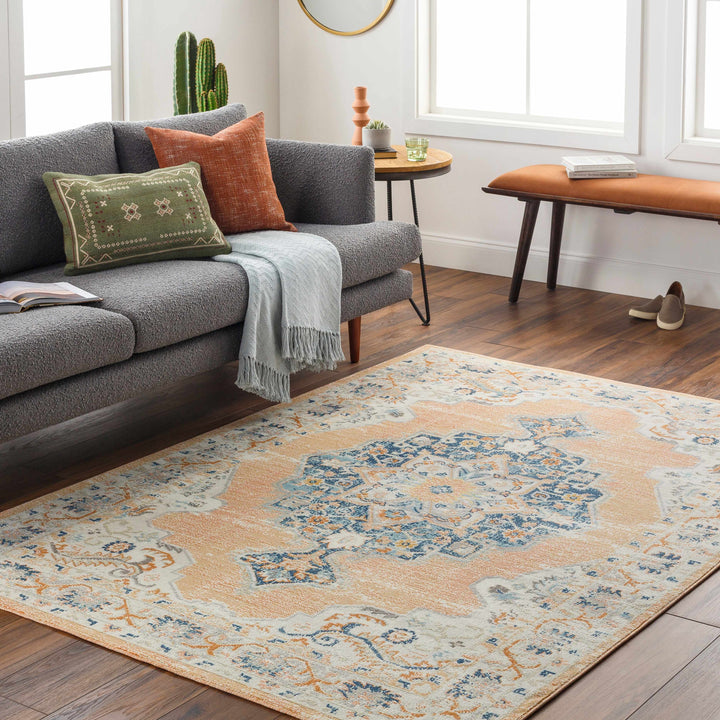 Joji Peach And Blue Traditional Style Area Rug