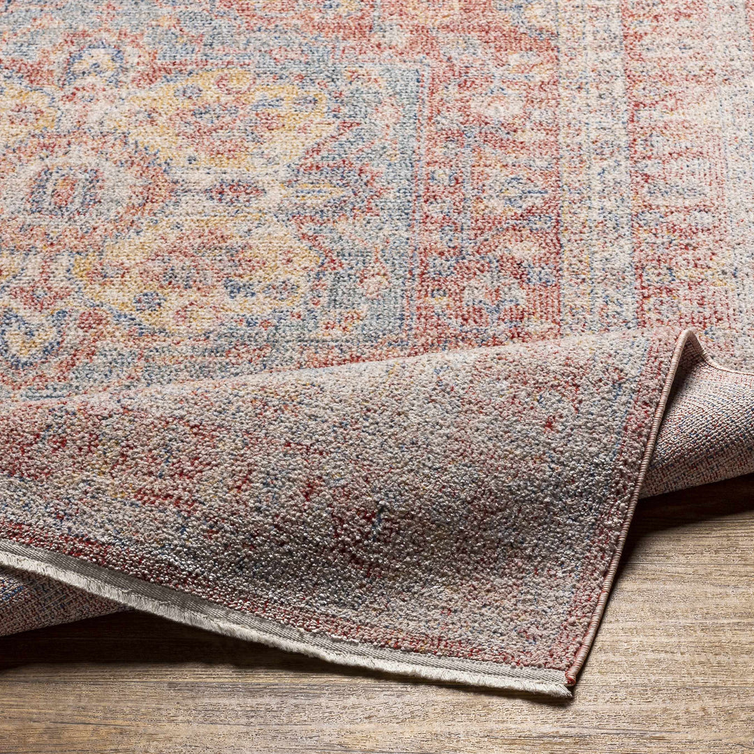 Jorn Traditional Style Rust And Blue Area Rug