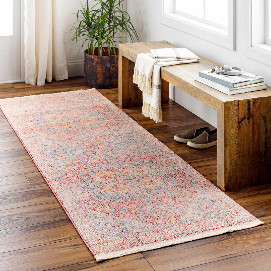 Jorn Traditional Style Rust And Blue Area Rug