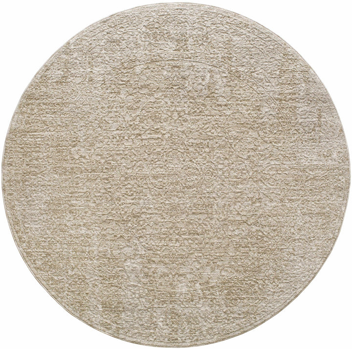 Josie Traditional Style Beige Rug - The Rug Decor