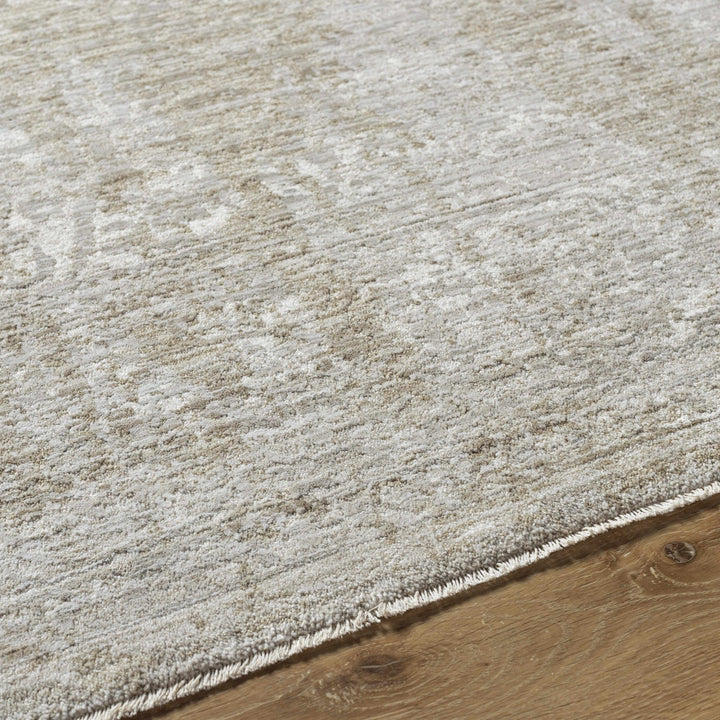 Josie Traditional Style Beige Rug - The Rug Decor