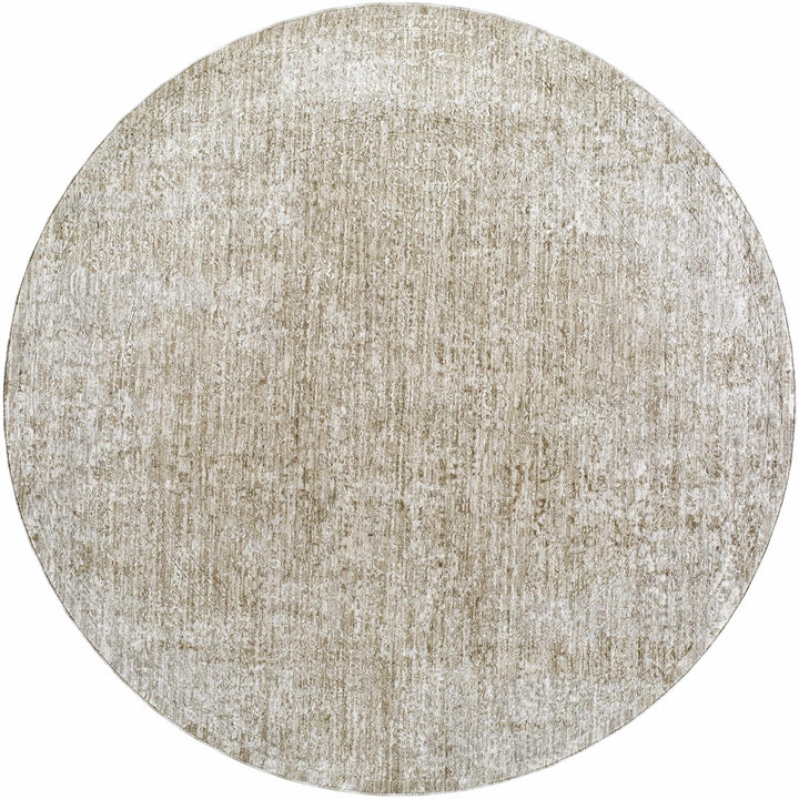Josie Traditional Style Beige Rug - The Rug Decor