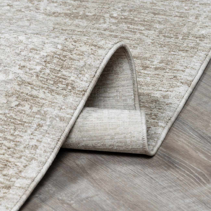 Josie Traditional Style Beige Rug - The Rug Decor