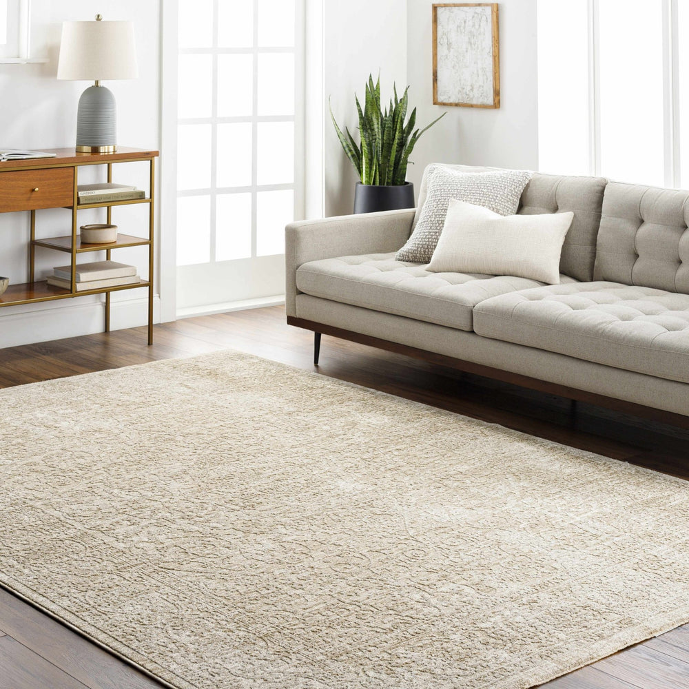 Josie Traditional Style Beige Rug - The Rug Decor