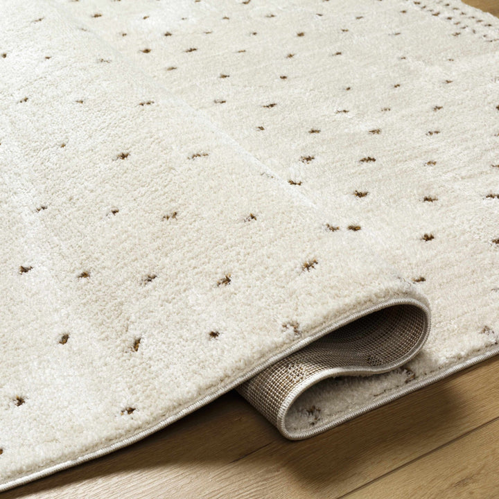 Julie Ivory And Brown Contemporary Style Area Rug - The Rug Decor