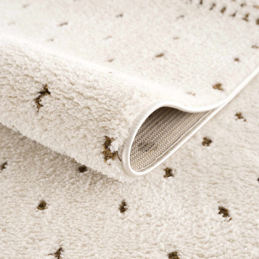 Julie Ivory And Brown Contemporary Style Area Rug - The Rug Decor