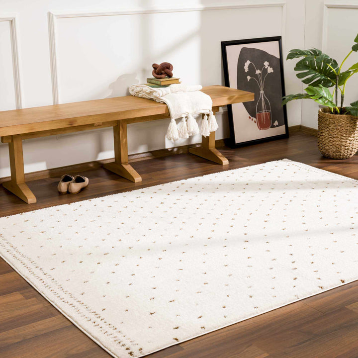 Julie Ivory And Brown Contemporary Style Area Rug - The Rug Decor