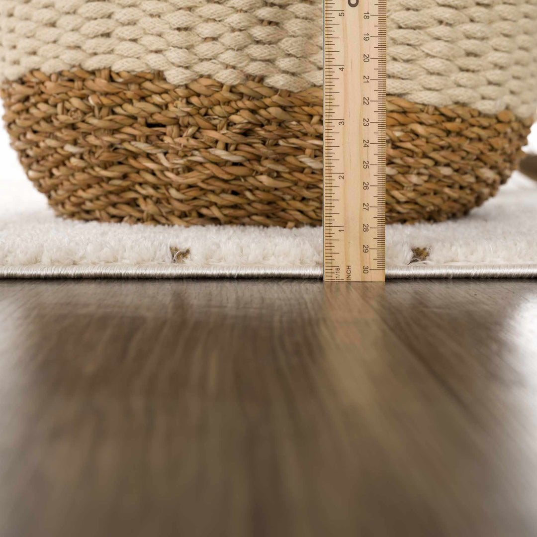 Julie Ivory And Brown Contemporary Style Area Rug - The Rug Decor