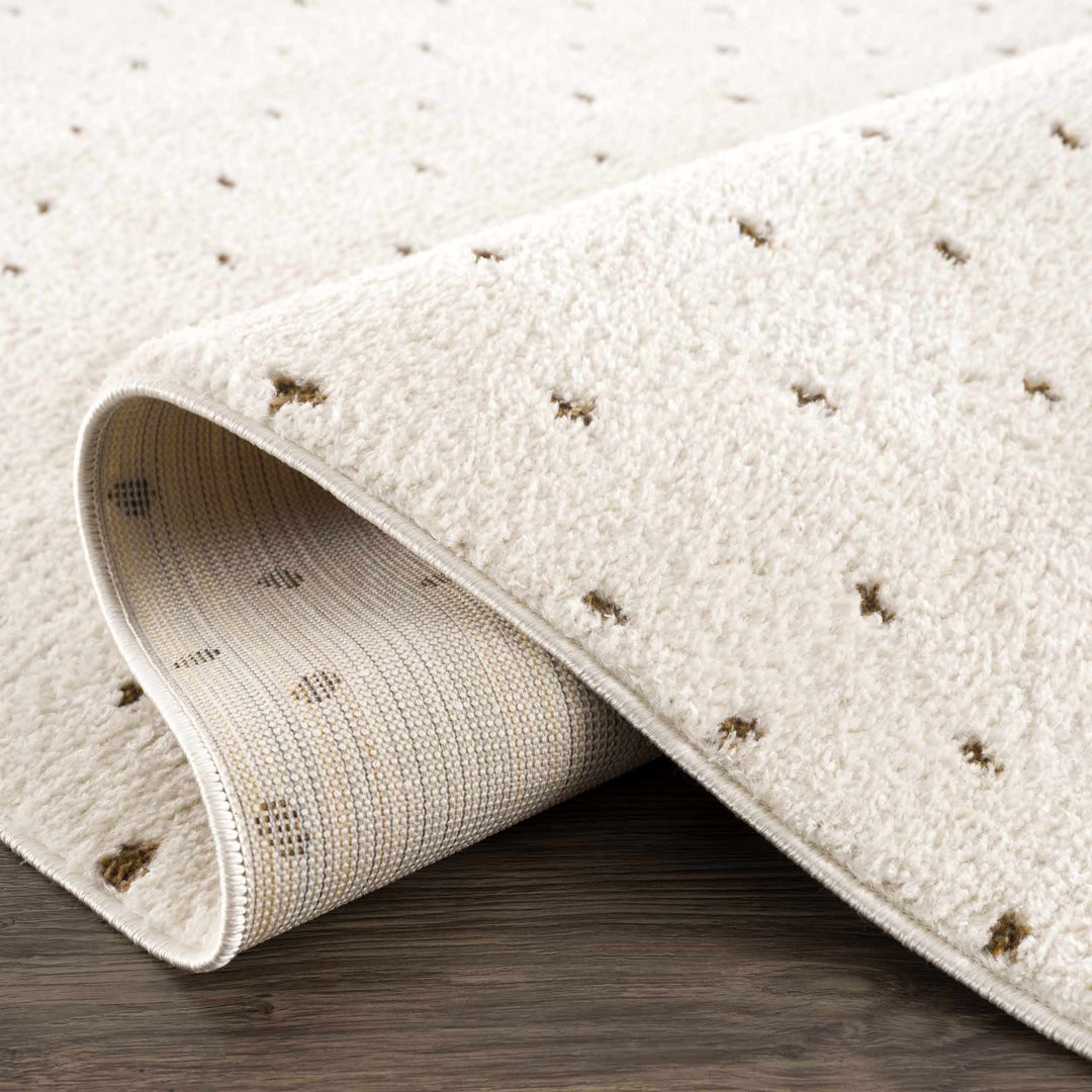 Julie Ivory And Brown Contemporary Style Area Rug - The Rug Decor