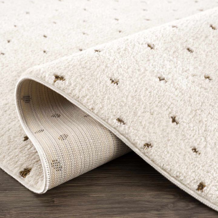 Julie Ivory And Brown Contemporary Style Area Rug - The Rug Decor