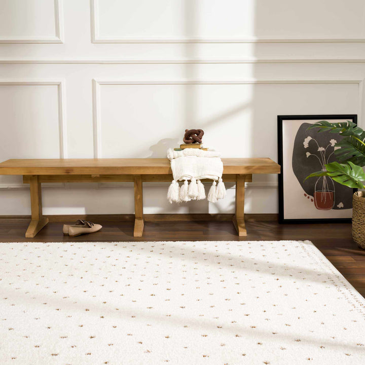 Julie Ivory And Brown Contemporary Style Area Rug - The Rug Decor