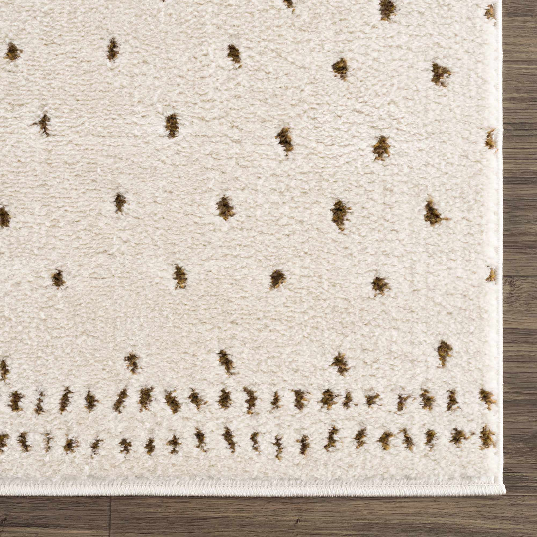 Julie Ivory And Brown Contemporary Style Area Rug - The Rug Decor