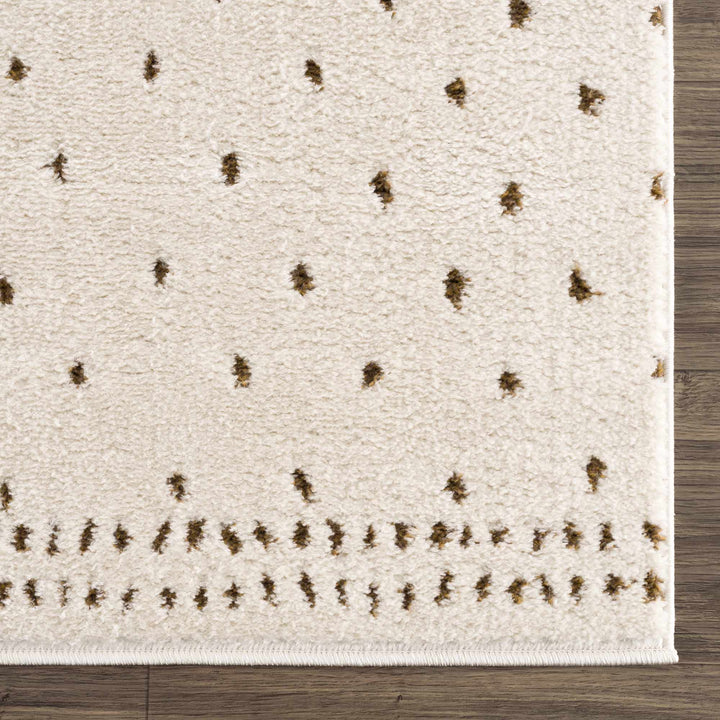 Julie Ivory And Brown Contemporary Style Area Rug - The Rug Decor