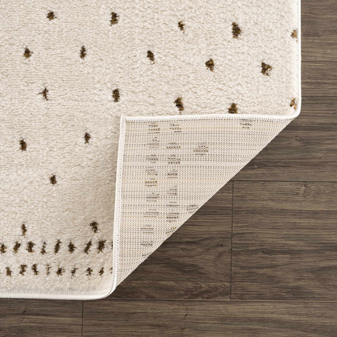 Julie Ivory And Brown Contemporary Style Area Rug - The Rug Decor