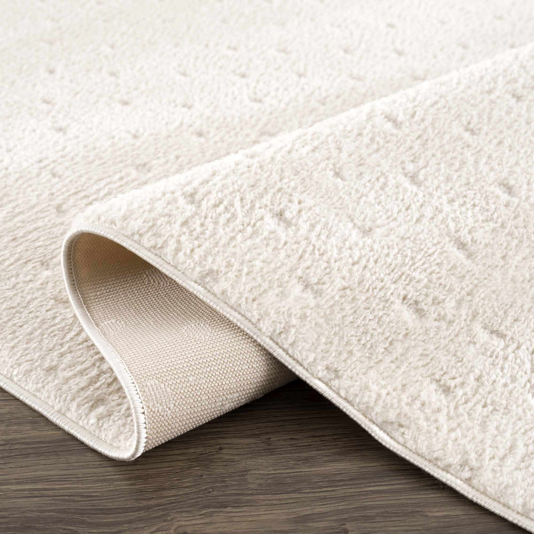 Julie Ivory Modern Style Area Rug - The Rug Decor
