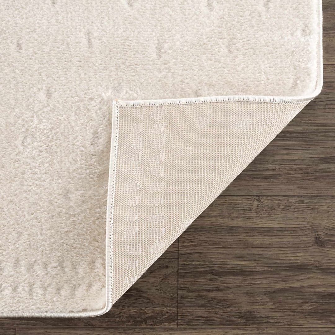 Julie Ivory Modern Style Area Rug - The Rug Decor