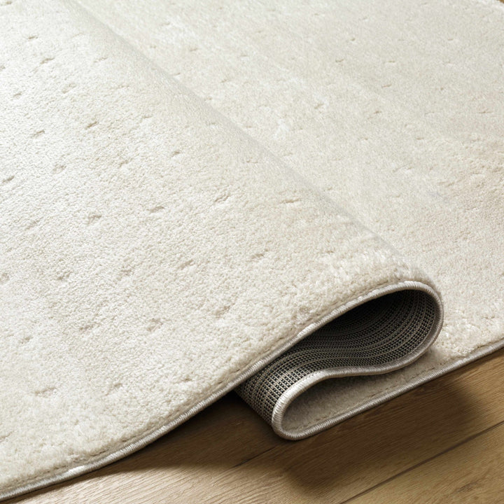 Julie Ivory Modern Style Area Rug - The Rug Decor