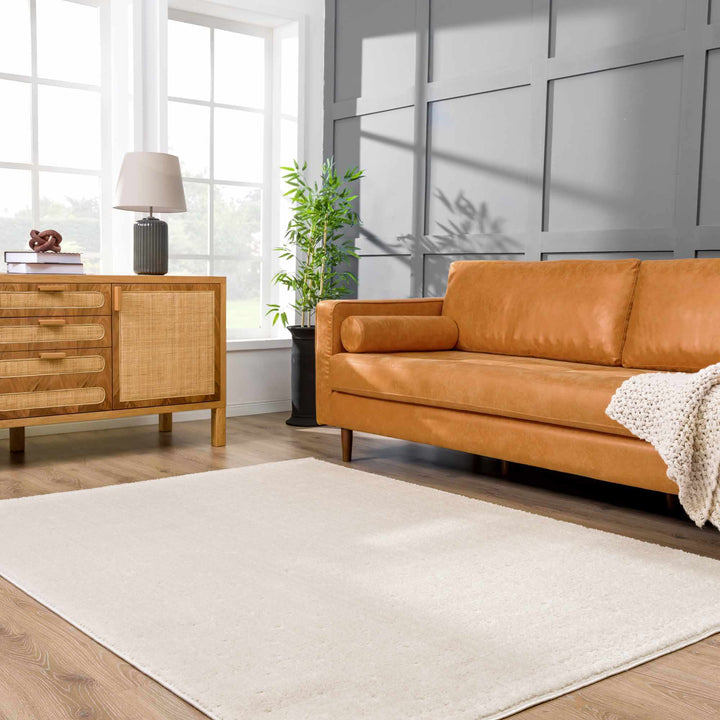 Julie Ivory Modern Style Area Rug - The Rug Decor