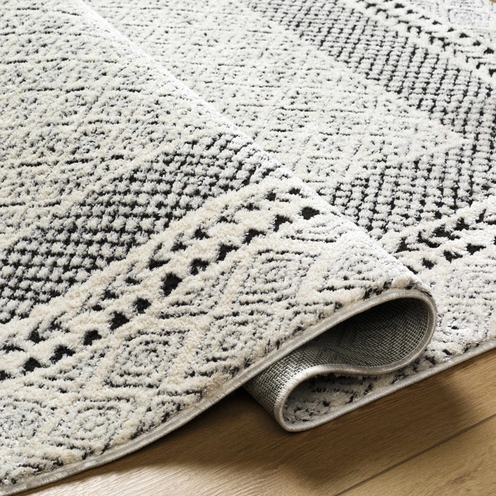 Julio Contemporary Style Black And Ivory Rug - The Rug Decor